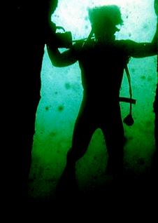 522092_10150854859692275_1097173206_n